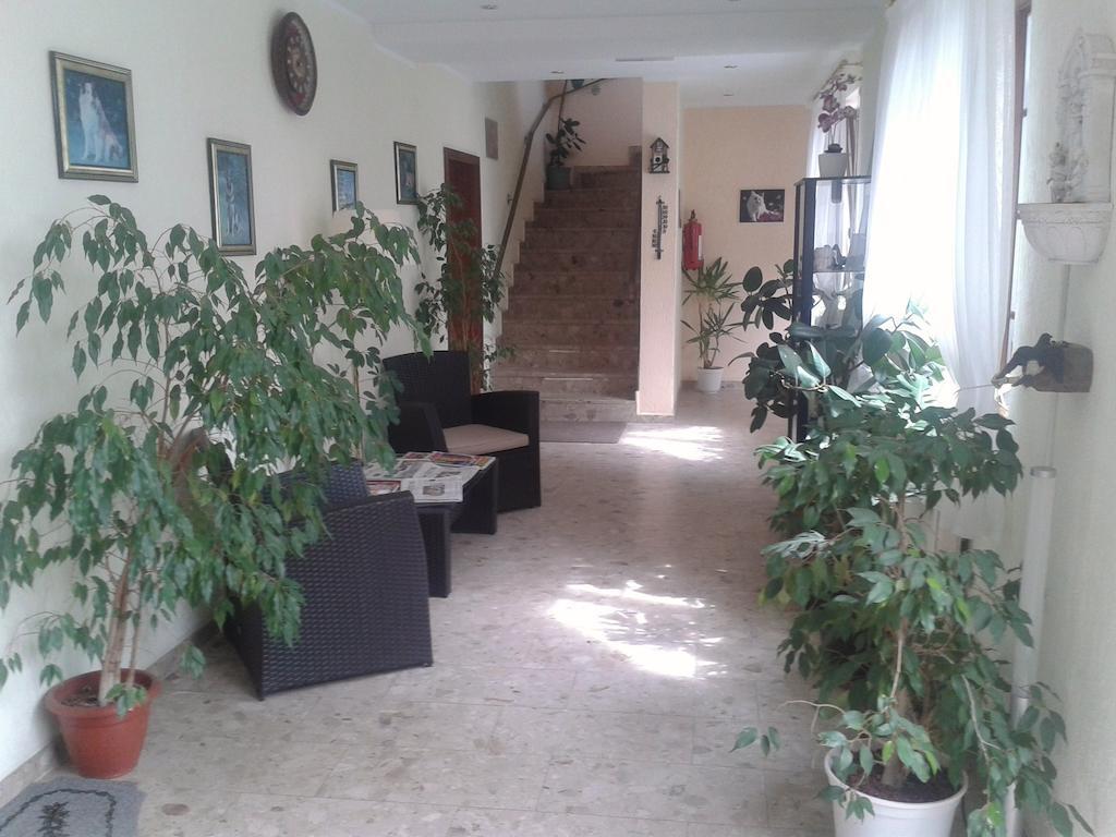 Hotelpension Schwalbennest Benz  Εξωτερικό φωτογραφία